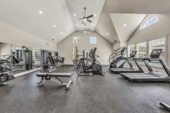 Gym fitness